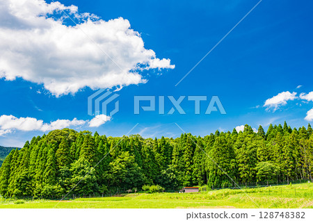 滋賀縣長濱市湖北地方西亞西町的山地和針葉林景觀 128748382