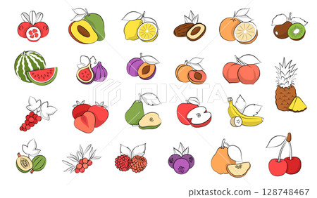 Citrus and Exotic Fruits. Engraved Botanical Vintage Fruit Sketches, Illustrations, Element farming, engraved sketch style. Ideal for premium organic design 128748467