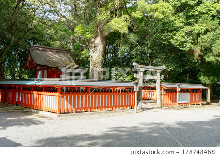 View of Yasaka Shrine at Usa Jingu (Usa City) 128748468