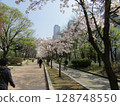 Cherry blossoms in Yeouido, Seoul 128748550