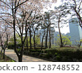 Cherry blossoms in Yeouido, Seoul 128748552