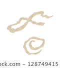 Snake's shell 128749415