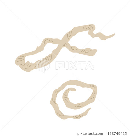 Snake's shell Snake's shell 128749415