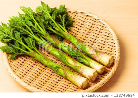 採摘野生山牛蒡－裝在籃子裡的春季野菜 128749684