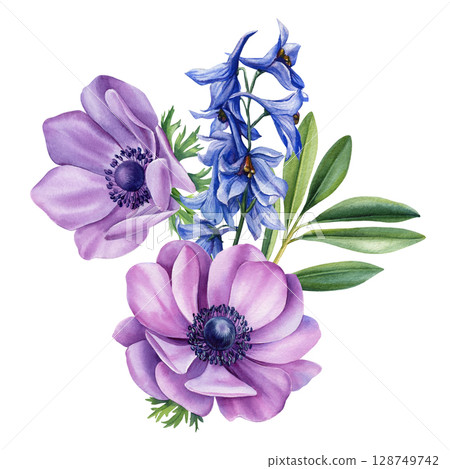 Purple anemones with blue delphinium and green leaves watercolor floral bouquet botanical spring illustration clipart Purple anemones with blue delphinium and green leaves watercolor floral bouquet botanical spring illustration clipart 128749742