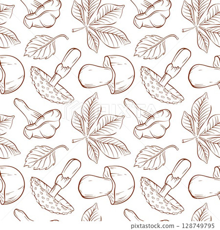Seamless pattern of line art style mushroom fly agaric, Boletus, Chanterelle and chestnut, Birch leaf on a white background. Ideal for autumn packaging, textile, print and organic design. 128749795