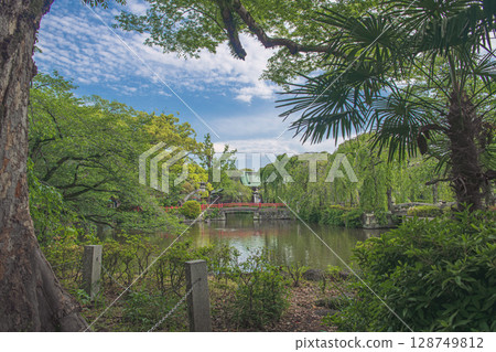 Scenery of the moat of Odawara Castle surrounded by fresh greenery 128749812