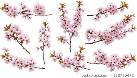 golden letter p for the year 128750478