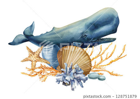 Sperm whale with coral starfish and seashells watercolor marine illustration for ocean projects 128751879
