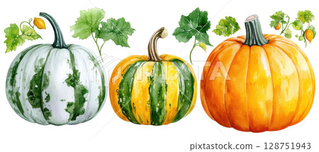 Pumpkin with fresh leaf transparent watercolor PNG clipart isolated on white background. Pumpkin with fresh leaf transparent watercolor PNG clipart isolated on white background. 128751943