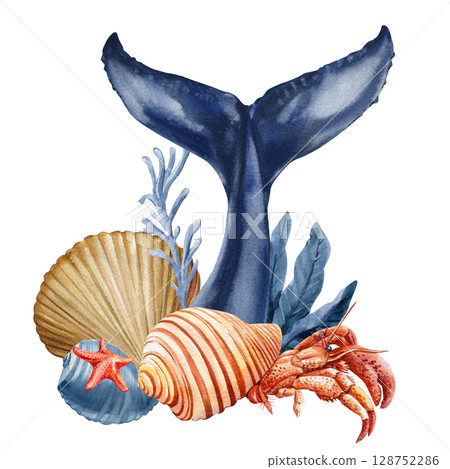Whale tail with hermit crab seashells starfish and sea plants watercolor ocean animal illustration, underwater life, ocean animal Whale tail with hermit crab seashells starfish and sea plants watercolor ocean animal illustration, underwater life, ocean animal 128752286