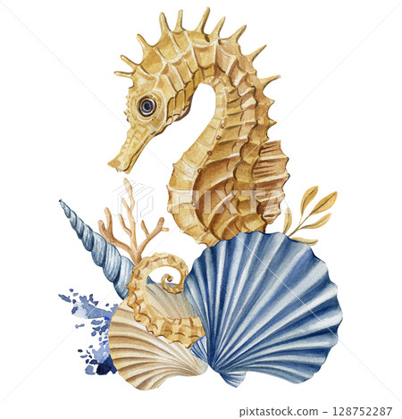 Seahorse with seashells coral and blue splash watercolor marine illustration, wildlife poster, elegant summer postcard Seahorse with seashells coral and blue splash watercolor marine illustration, wildlife poster, elegant summer postcard 128752287