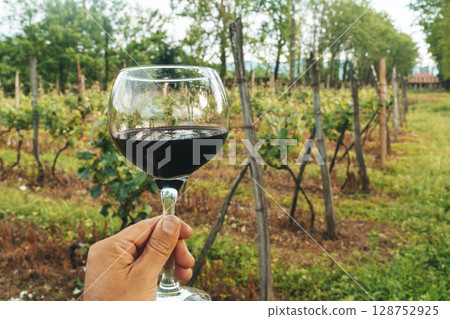 Hand Holding Red Wine Glass in Vineyard on a Summer Day Hand Holding Red Wine Glass in Vineyard on a Summer Day 128752925
