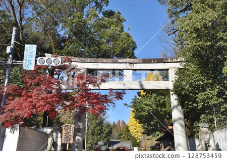 Torii gate of Chichibu Shrine on the day of the Chichibu Night Festival, Saitama 128753459