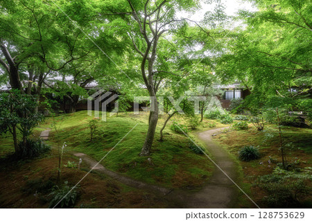 Saishoji Temple with fresh greenery 128753629