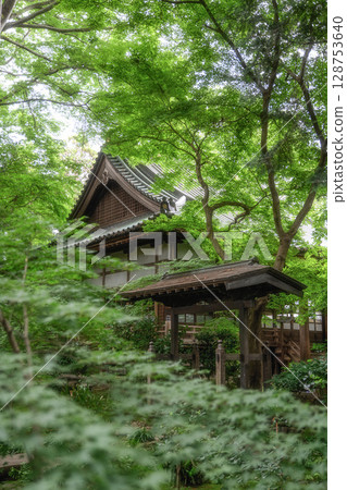Saishoji Temple with fresh greenery Saishoji Temple with fresh greenery 128753640