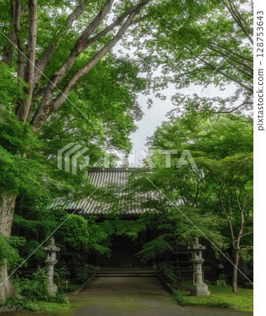 Saishoji Temple with fresh greenery 128753643