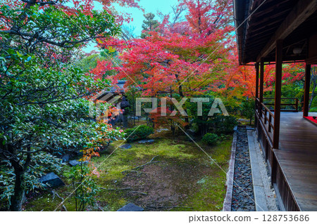 View of autumn leaves from a Japanese-style room at Daihoin Temple 128753686