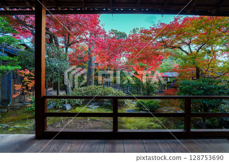 View of autumn leaves from a Japanese-style room at Daihoin Temple View of autumn leaves from a Japanese-style room at Daihoin Temple 128753690