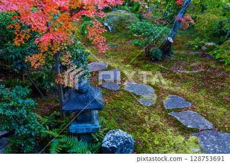 View of autumn leaves from a Japanese-style room at Daihoin Temple View of autumn leaves from a Japanese-style room at Daihoin Temple 128753691