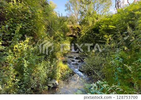 Idyllic landscape of an Ancient bridge over a stream in Pradoluengo, Burgos Spain., Spain. Nature Idyllic landscape of an Ancient bridge over a stream in Pradoluengo, Burgos Spain., Spain. Nature 128753700