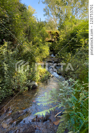 Idyllic landscape of an Ancient bridge over a stream in Pradoluengo, Burgos Spain., Spain. Nature Idyllic landscape of an Ancient bridge over a stream in Pradoluengo, Burgos Spain., Spain. Nature 128753701