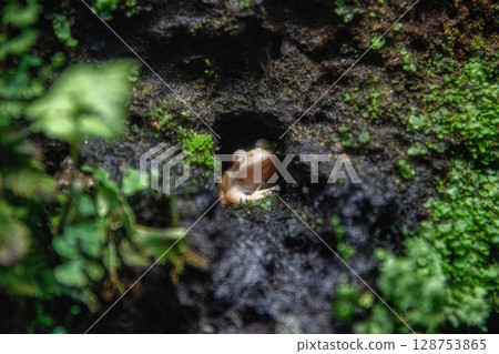 Nakagawa Watersport Nakagawa Watersport 128753865