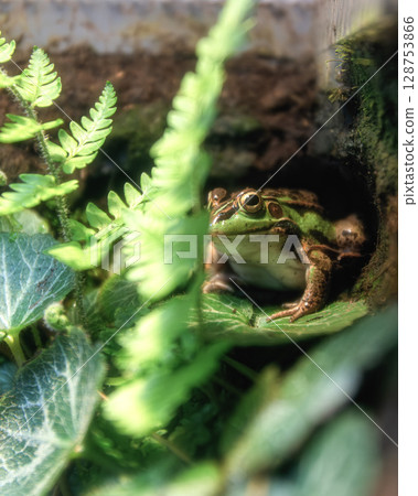 Nakagawa Watersport 128753866