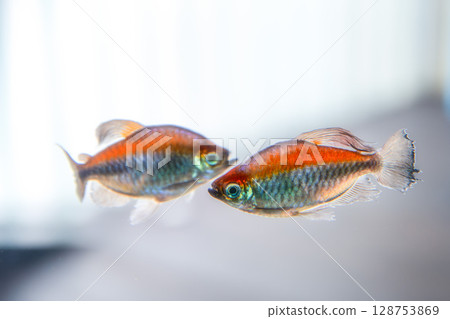 Nakagawa Watersport 128753869