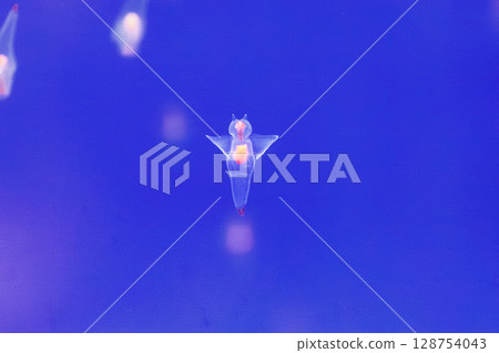 流冰仙女克利俄涅的夢幻之舞 128754043