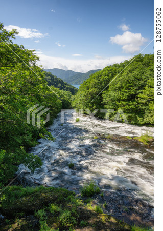 Fresh green crown waterfall Fresh green crown waterfall 128755062