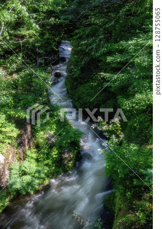 Fresh green crown waterfall Fresh green crown waterfall 128755065