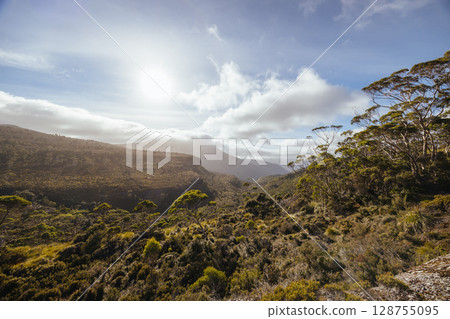 Morning View near Barn Bluff in Tasmania Australia Morning View near Barn Bluff in Tasmania Australia 128755095