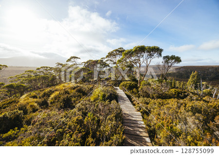 Barn Bluff Morning View in Tasmania Australia Barn Bluff Morning View in Tasmania Australia 128755099