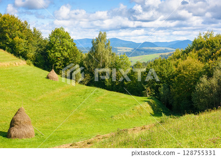 countryside landscape in carpathian mountains in summer. scenic view with trees and field in the valley of borzhava ridge. rural scenery with haystack on grassy hill under blue sky with clouds countryside landscape in carpathian mountains in summer. scenic view with trees and field in the valley of borzhava ridge. rural scenery with haystack on grassy hill under blue sky with clouds 128755331