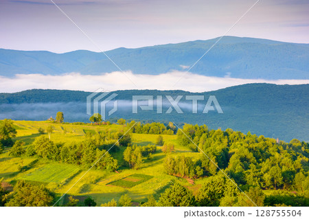rural landscape with fog in summer. green meadow on the hill in morning light. beautiful countryside in carpathian mountains under blue sky with clouds. scenic view rural landscape with fog in summer. green meadow on the hill in morning light. beautiful countryside in carpathian mountains under blue sky with clouds. scenic view 128755504