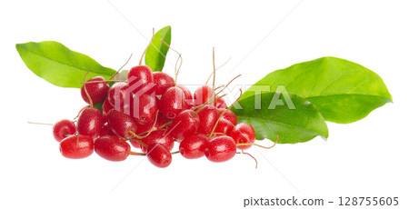 Elaeagnus multiflora isolated on white background. Cherry elaeagnus or cherry silverberry with green leaves. Goumi or gumi berry. Elaeagnus multiflora isolated on white background. Cherry elaeagnus or cherry silverberry with green leaves. Goumi or gumi berry. 128755605