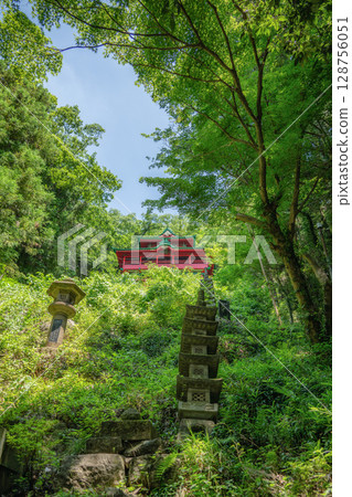 Fresh greenery at Izuruhara Benten Pond 128756051
