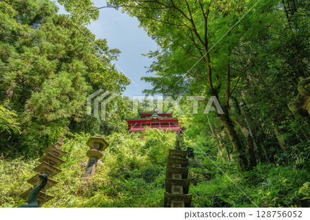 Fresh greenery at Izuruhara Benten Pond 128756052