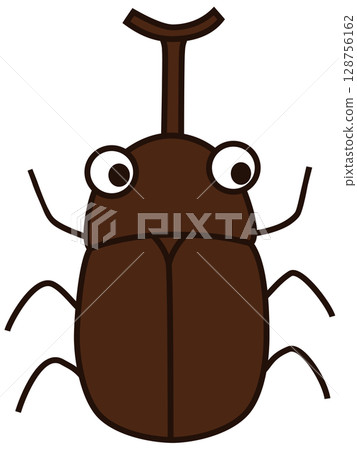 Beetle 128756162