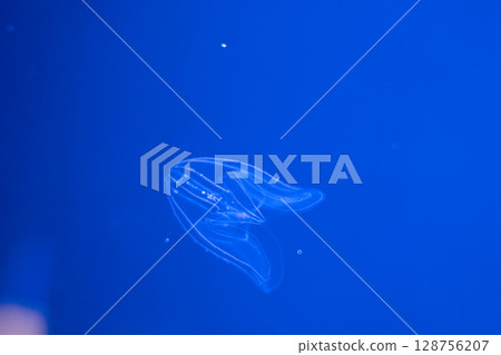 A fantastical world of floating jellyfish 128756207