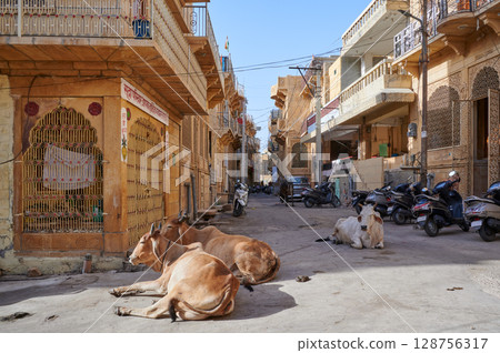 Streets of Jaisalmer, Rajasthan, India 128756317
