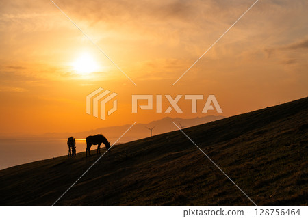 <Miyazaki Prefecture> Cape Toi at dusk with horses <Miyazaki Prefecture> Cape Toi at dusk with horses 128756464