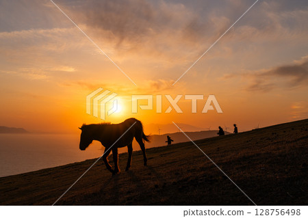 <Miyazaki Prefecture> Cape Toi at dusk with horses 128756498