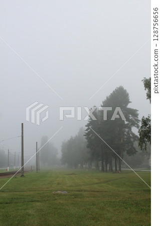 A white thick fog spreads on the ground, road, asphalt. Summer fog A white thick fog spreads on the ground, road, asphalt. Summer fog 128756656