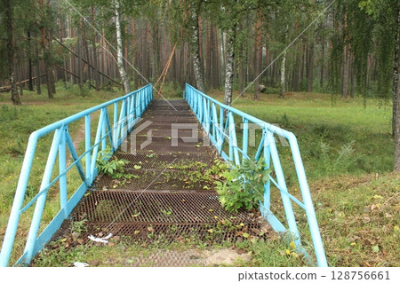 An old metal bridge leading to the forest. Forest near the city 128756661