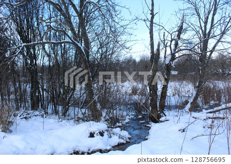 Winter forest landscape. Ice-free river in winter 128756695
