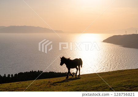 <宮崎縣>黃昏時分的土井岬與馬匹 128756821