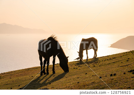 <宮崎縣>黃昏時分的土井岬與馬匹 128756921