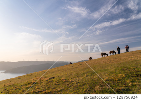 <Miyazaki Prefecture> Cape Toi at dusk with horses <Miyazaki Prefecture> Cape Toi at dusk with horses 128756924